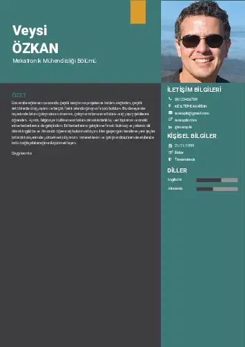 Mekatronik Mühendisliği Cv Örnekleri cv indir